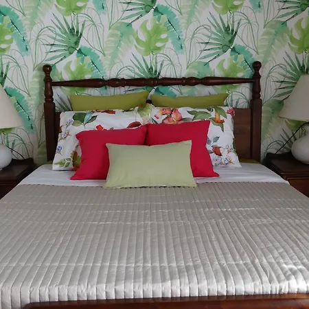 Апартаменты Barreirinha Funcho House